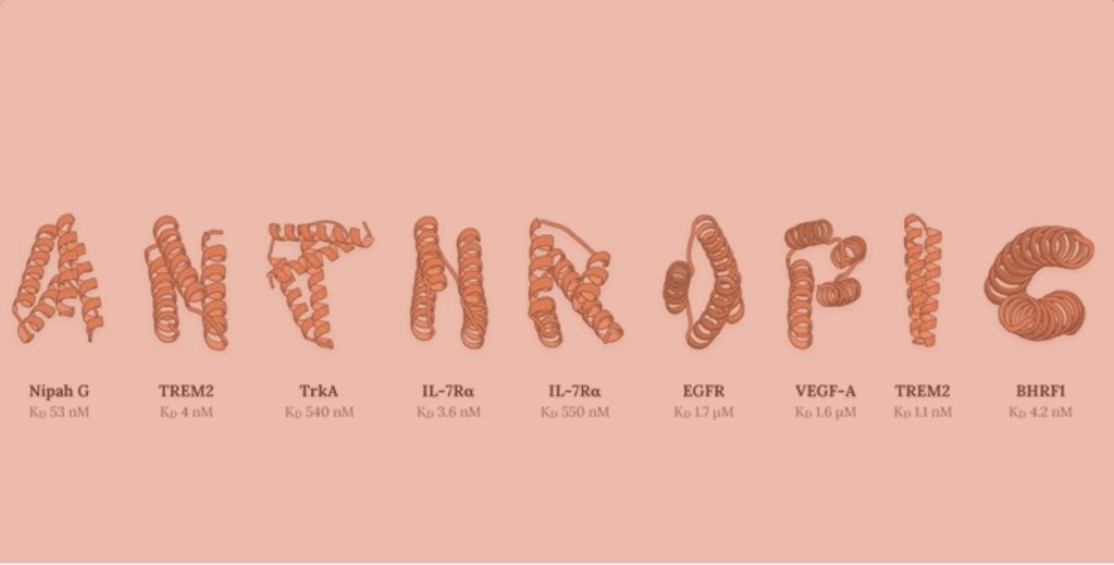 anthropic proteinas