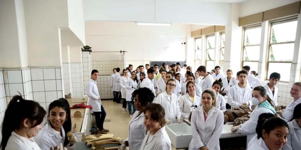 D-Medicina-UNLP-6000b9