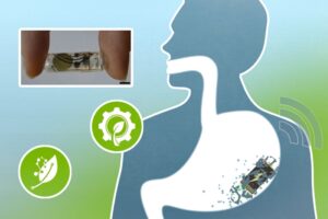 MIT-bateria biodegradable
