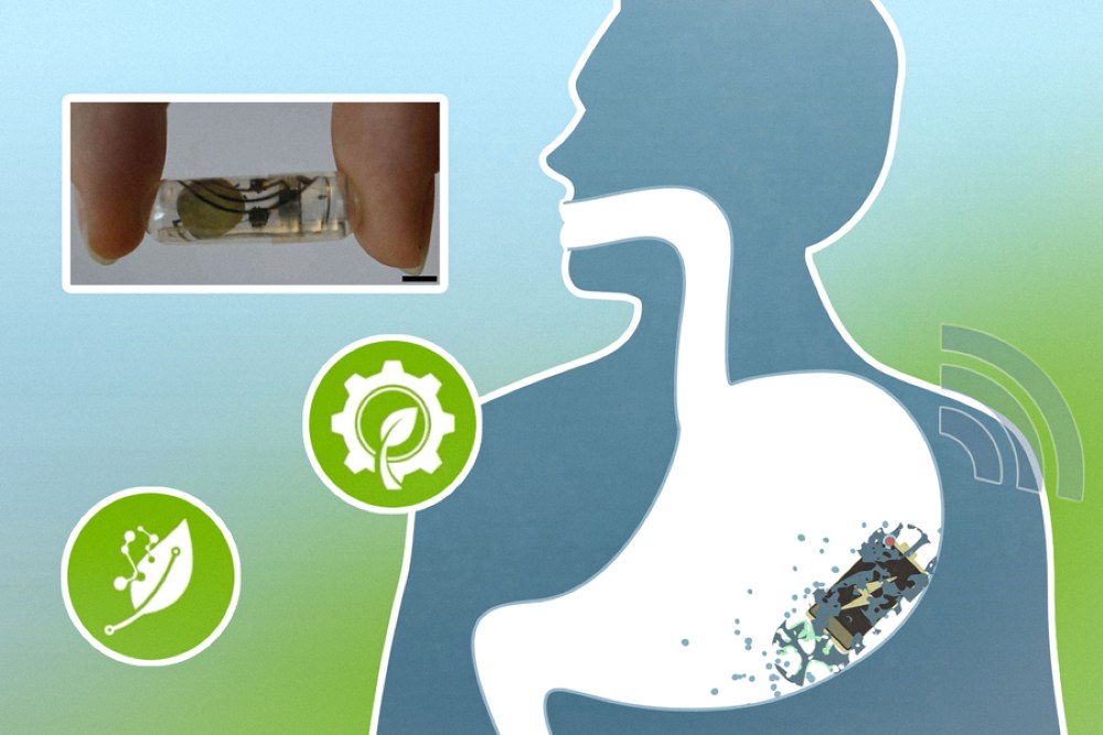 MIT-bateria biodegradable