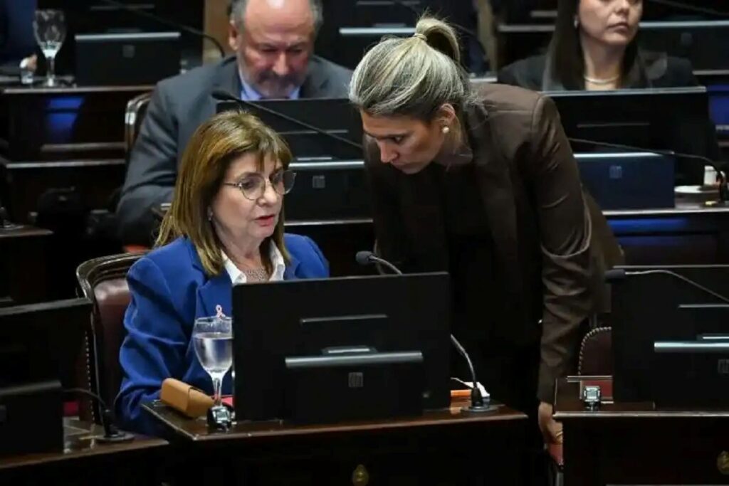 patricia bullrich ater en el senado ley de salud mental