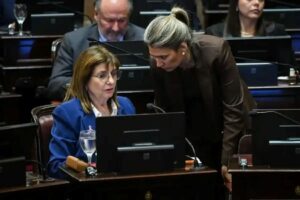 patricia bullrich ater en el senado ley de salud mental